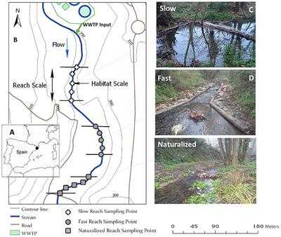 Hydromorphologic Control of Streambed Fine Particle Standing Stocks Influences In-stream Aerobic Respiration